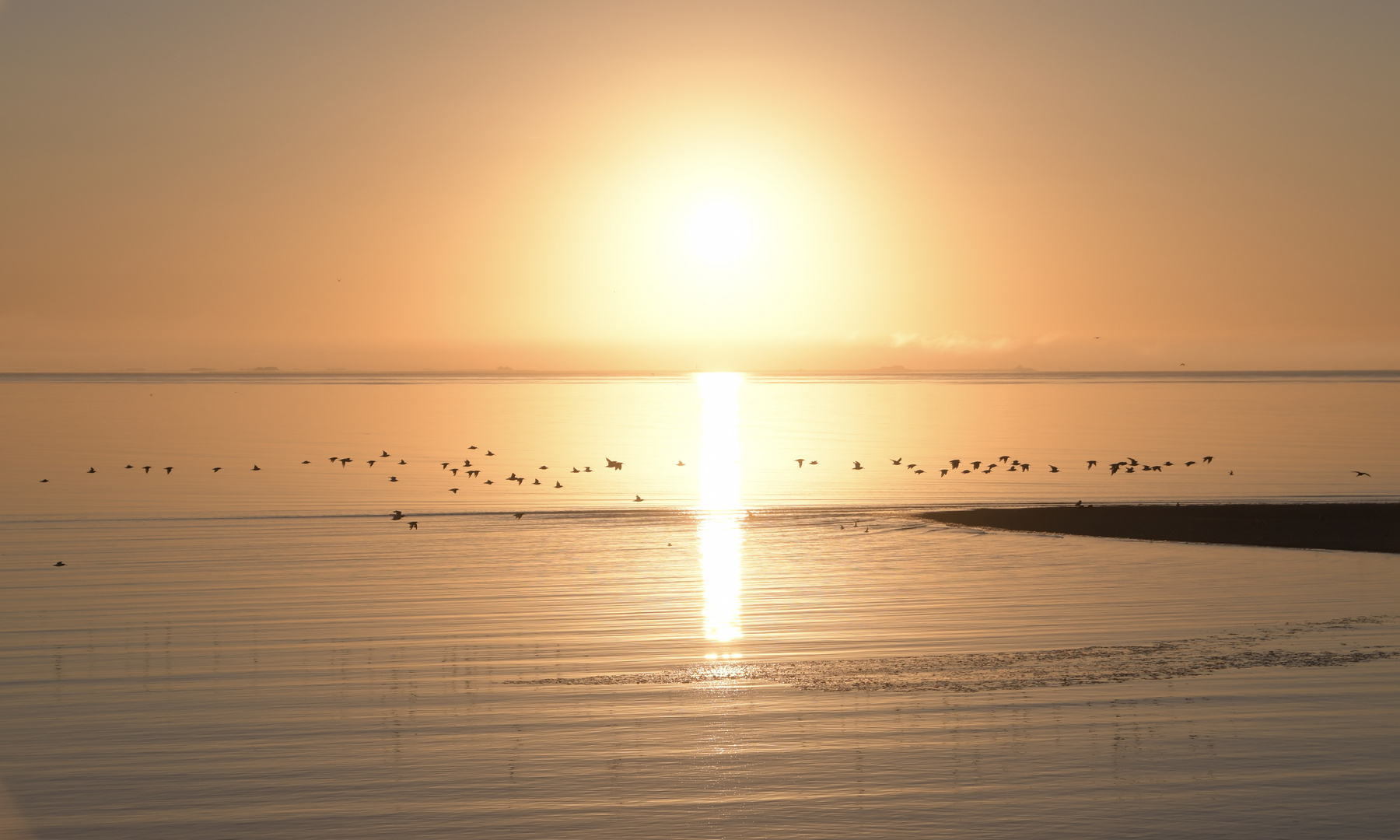 Sonnenaufgang Amrum September 2022