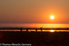 Sonnenaufgang an den Bangweulu Sümpfen