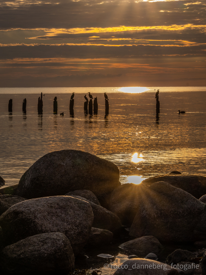 Sonnenaufgang an den Buhnen bei Glowe