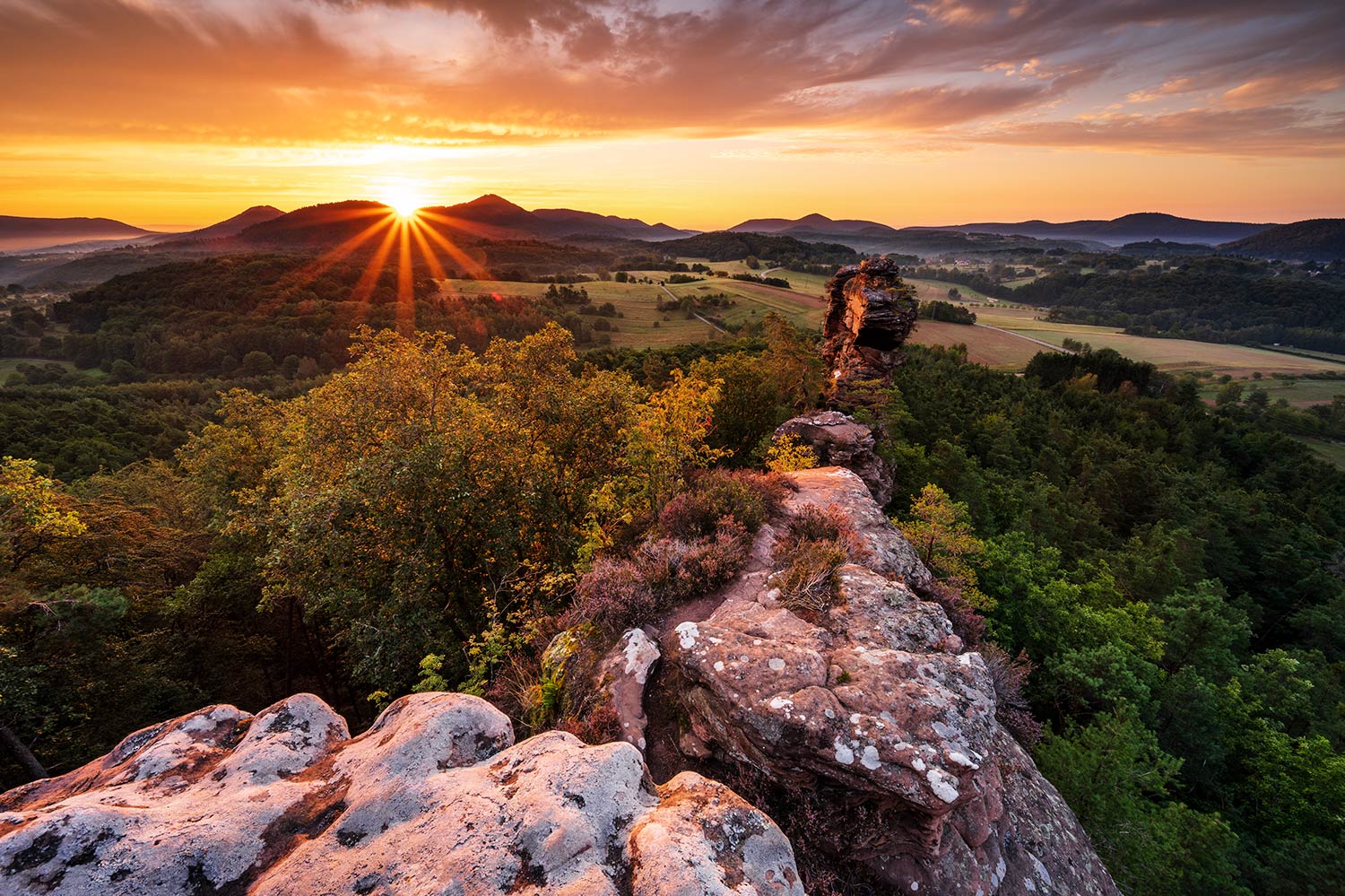 Sonnenaufgang an den Geiersteinen im Pfälzerwald