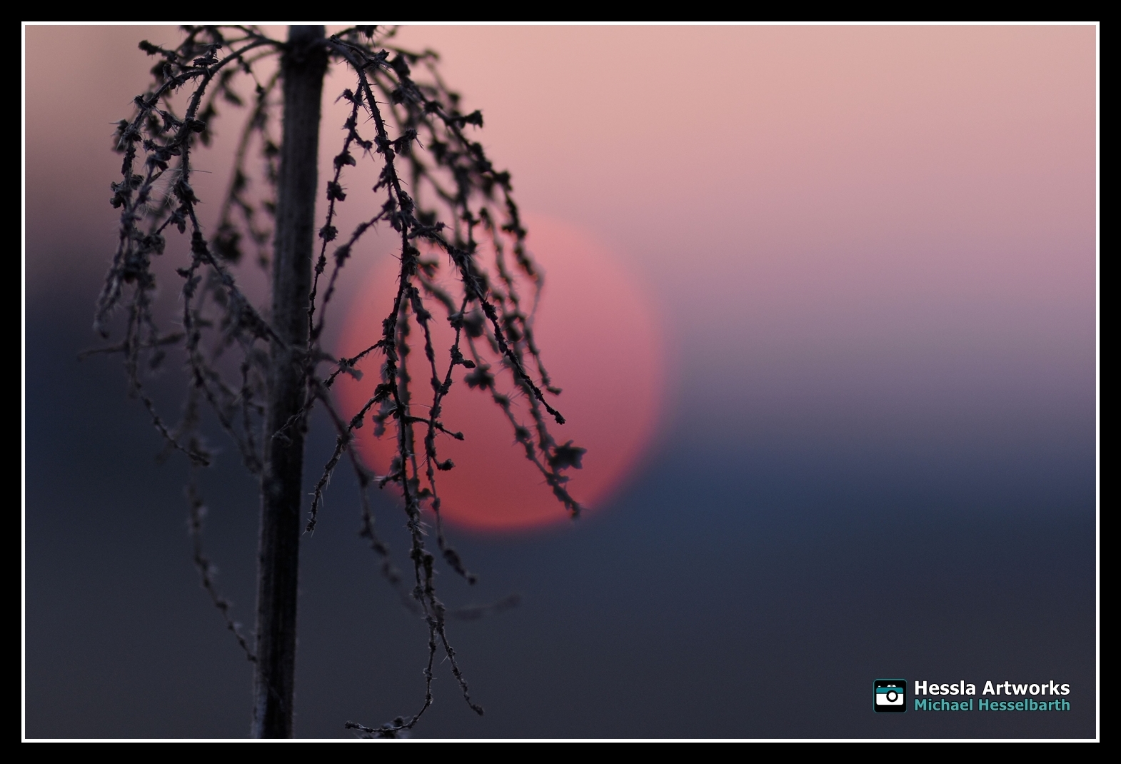 Sonnenaufgang an den Muldewiesen - Dessau.