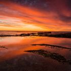 Sonnenaufgang an den Northern Beaches