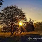 Sonnenaufgang an der Agger