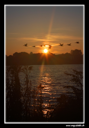 Sonnenaufgang an der Alster in Hamburg I