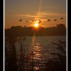 Sonnenaufgang an der Alster in Hamburg I