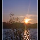 Sonnenaufgang an der Alster in Hamburg II