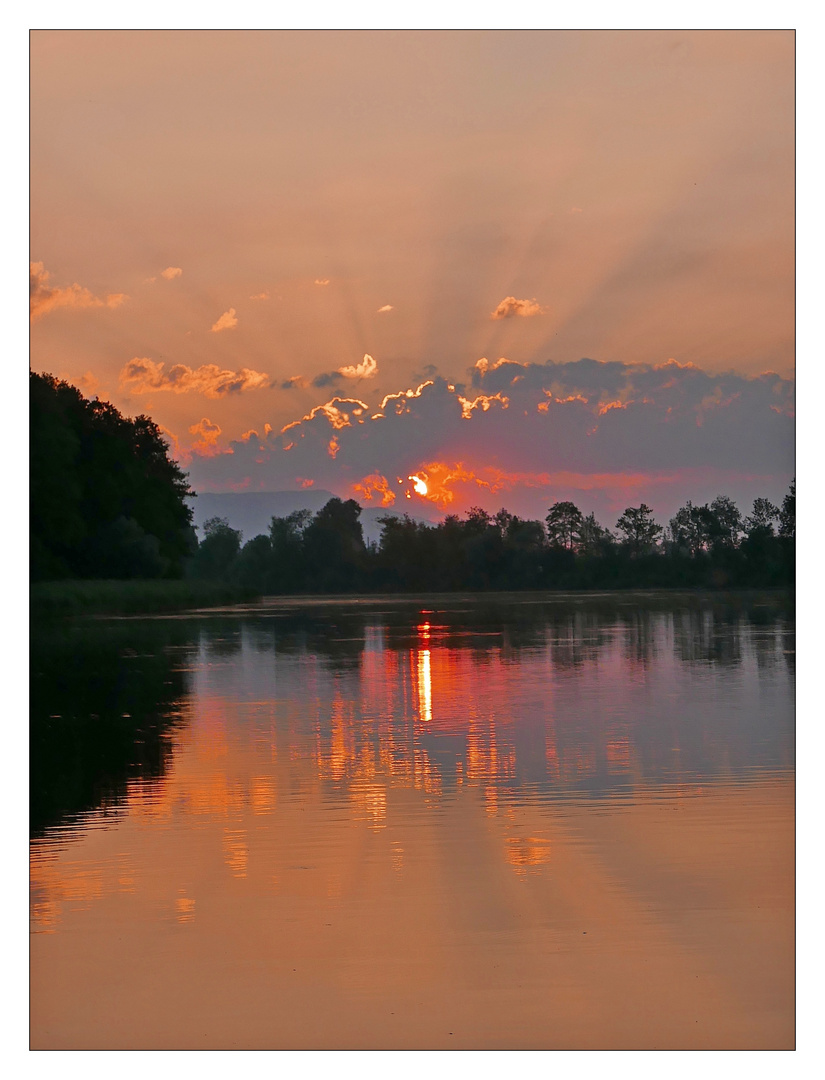 Sonnenaufgang an der alten Aare.