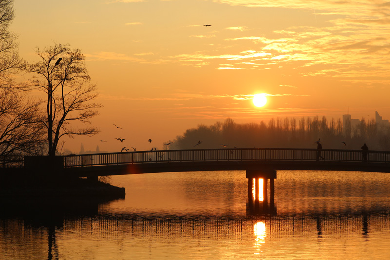 Sonnenaufgang an der alten Donau
