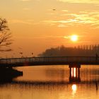 Sonnenaufgang an der alten Donau