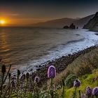 Sonnenaufgang an der Atlantikküste auf Madeira...