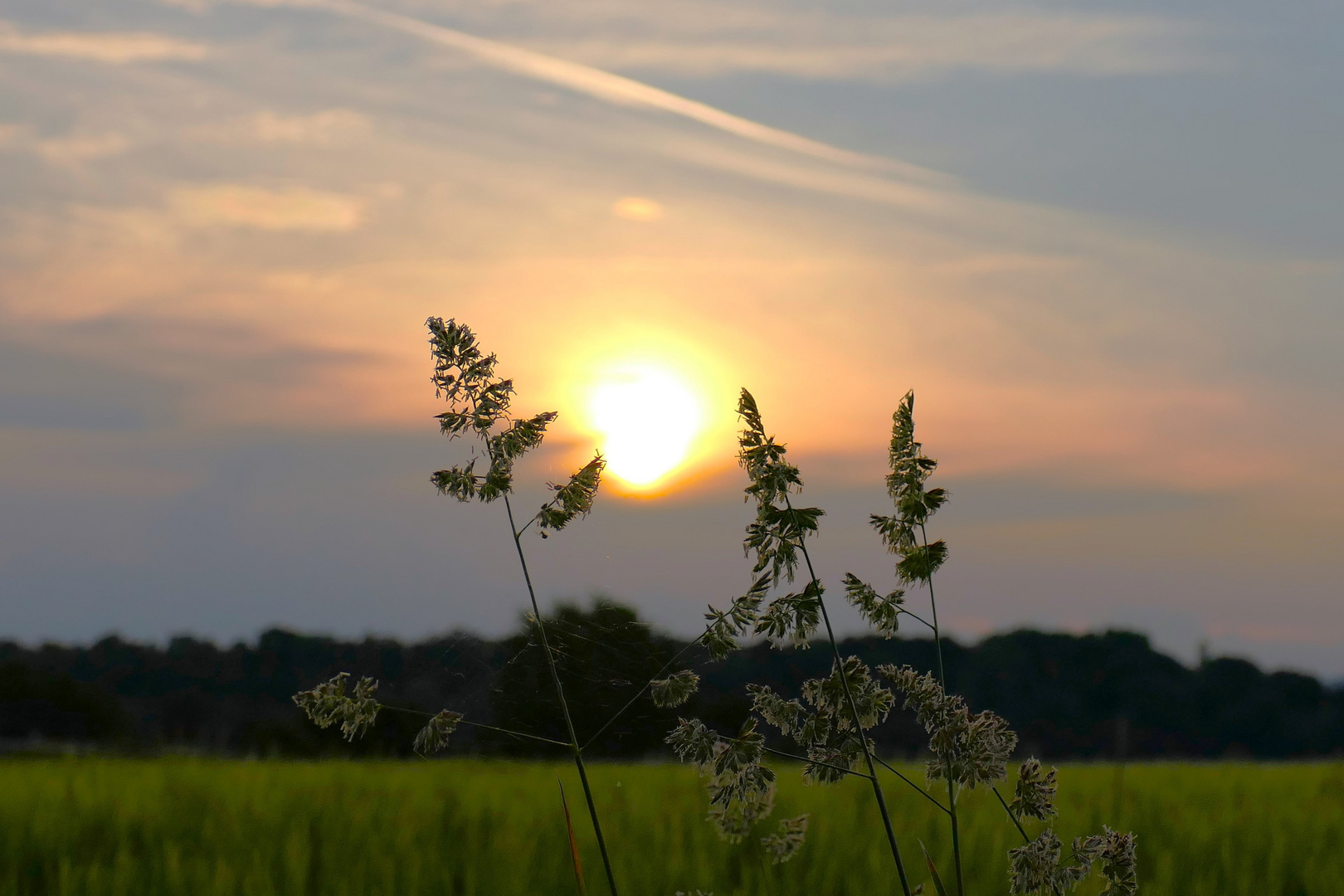 Sonnenaufgang an der Bergstraße...