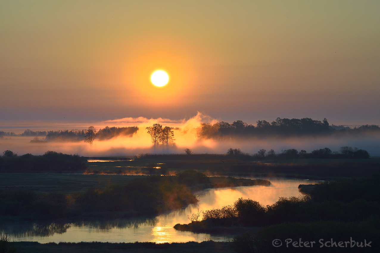 Sonnenaufgang an der Biebrza...