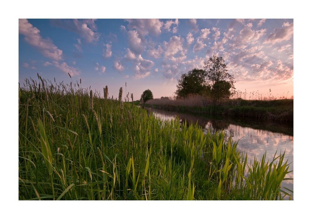 Sonnenaufgang an der Biese