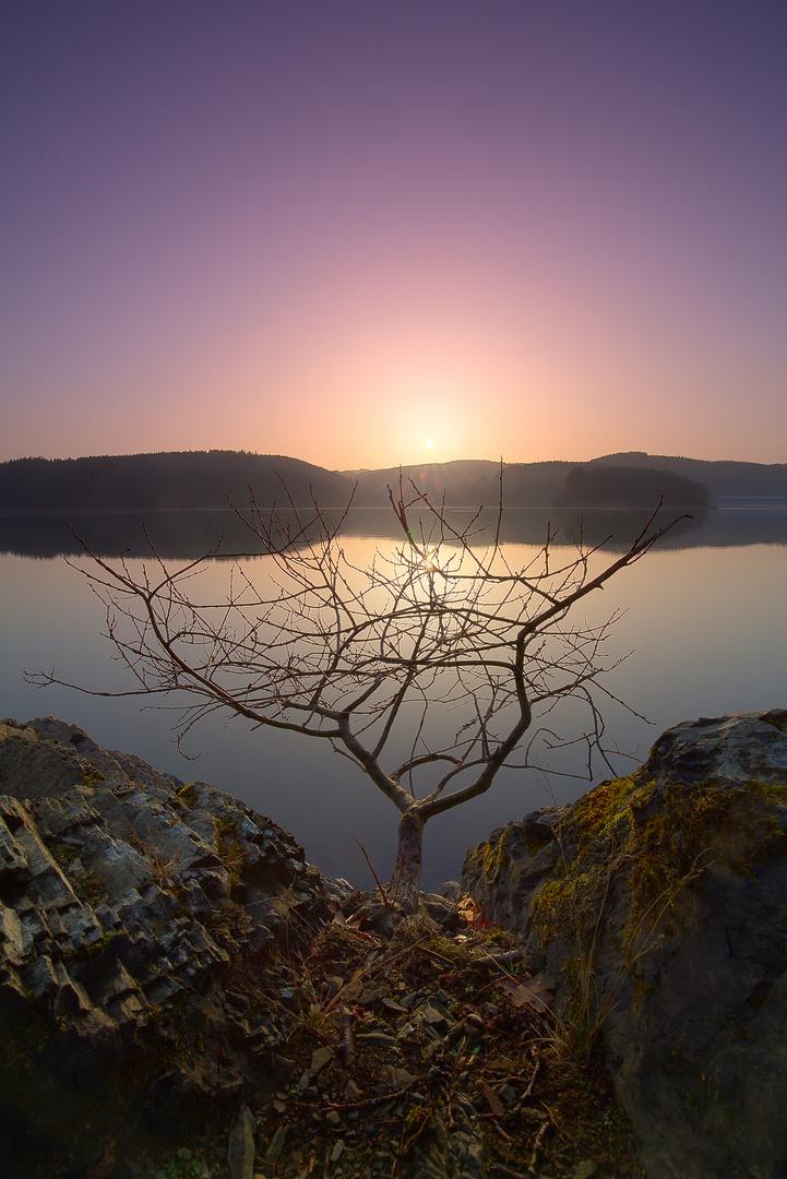 Sonnenaufgang an der Bigge