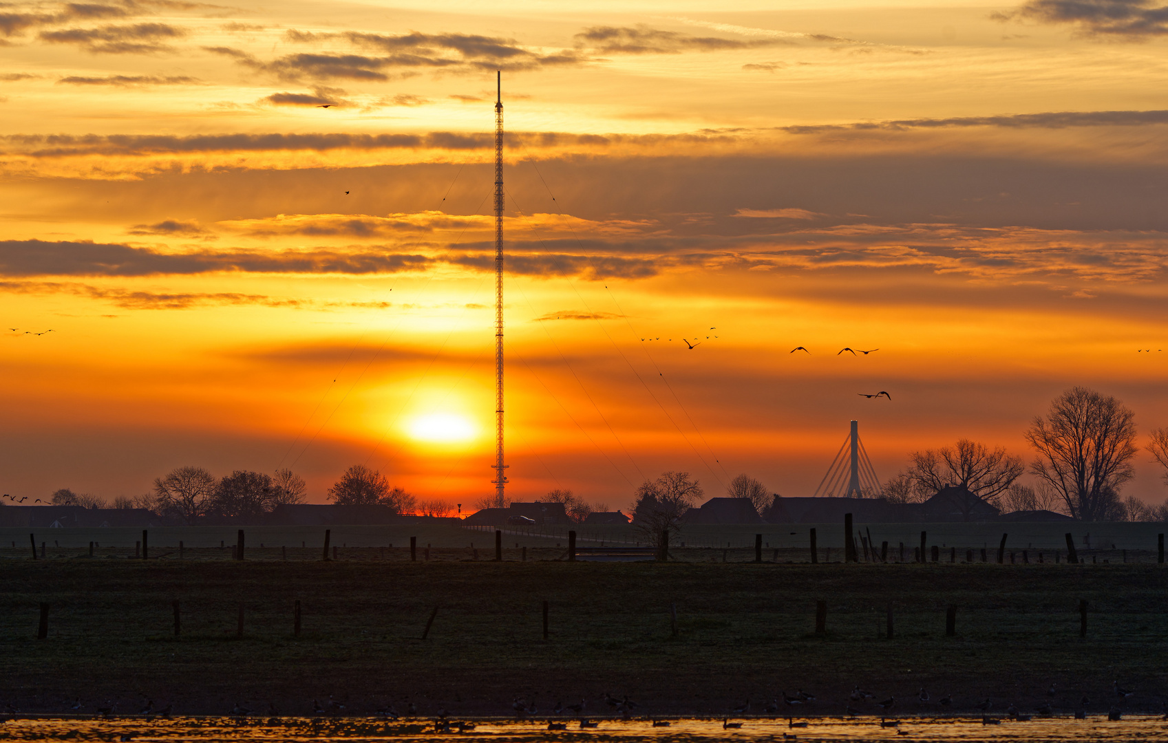 Sonnenaufgang an der Bislicher Insel