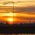 Sonnenaufgang an der Bislicher Insel