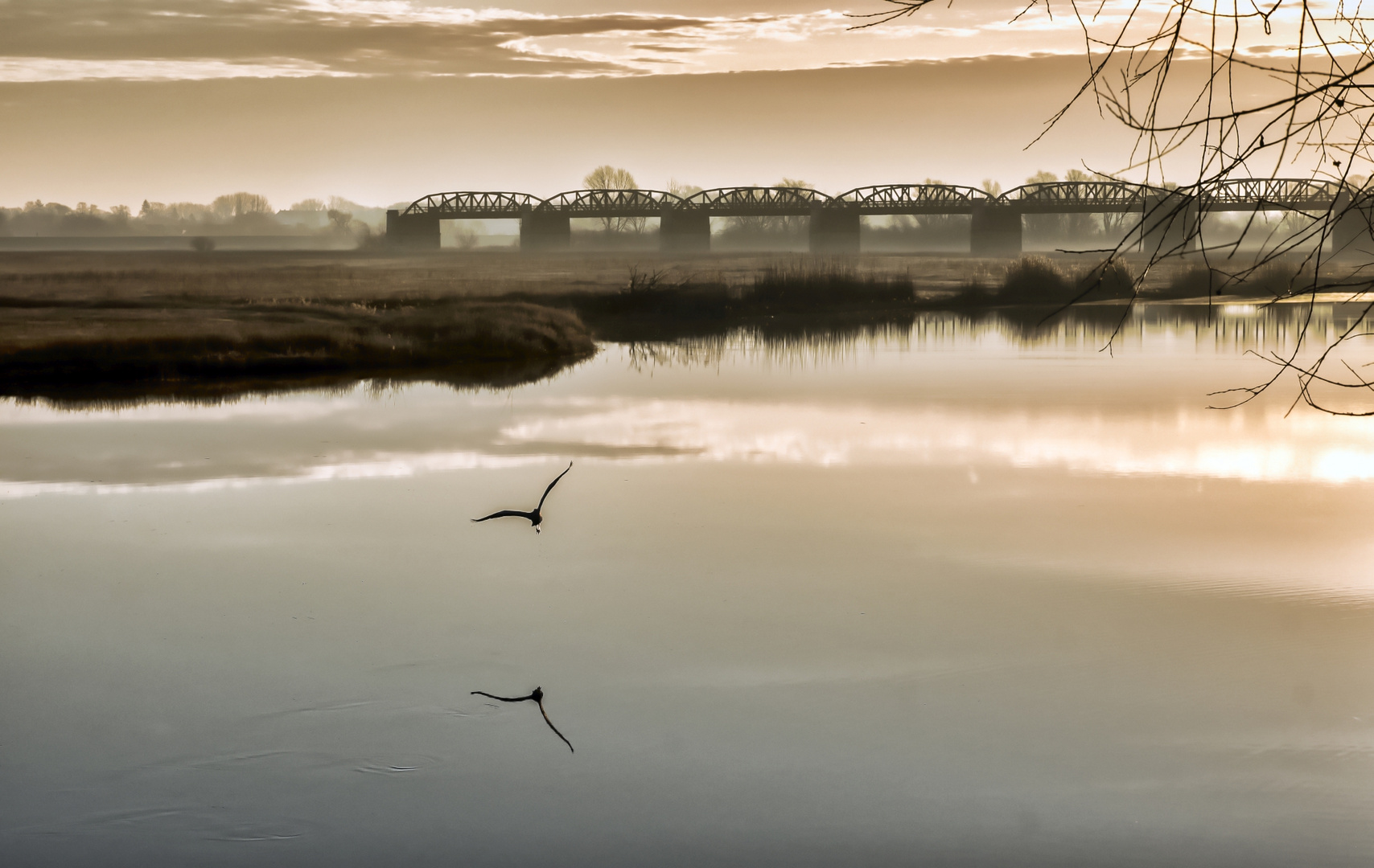 Sonnenaufgang an der Dömitzer Eisenbahnbrücke