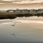 Sonnenaufgang an der Dömitzer Eisenbahnbrücke