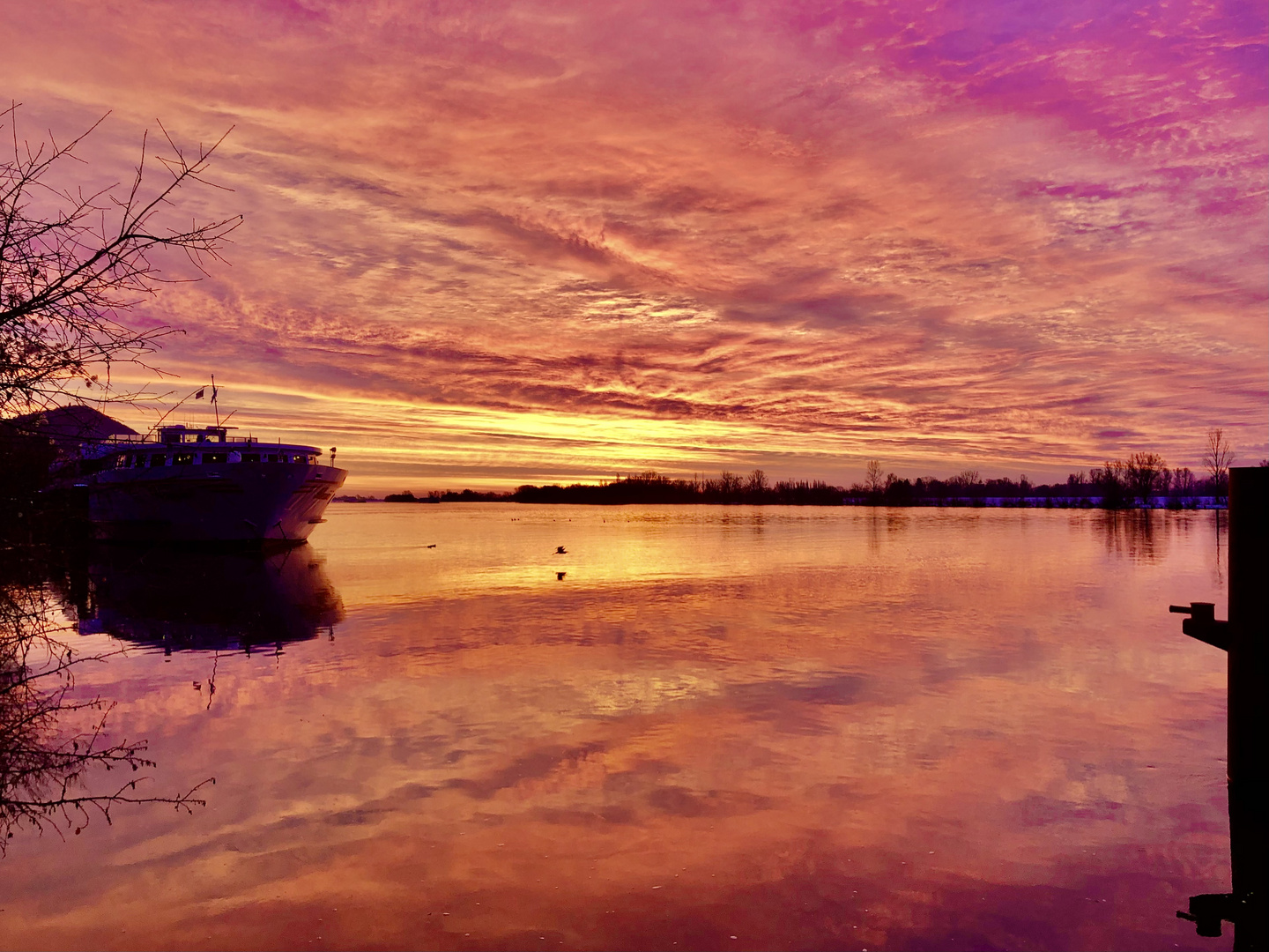 Sonnenaufgang an der Donau