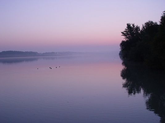 Sonnenaufgang an der Donau / Tulln