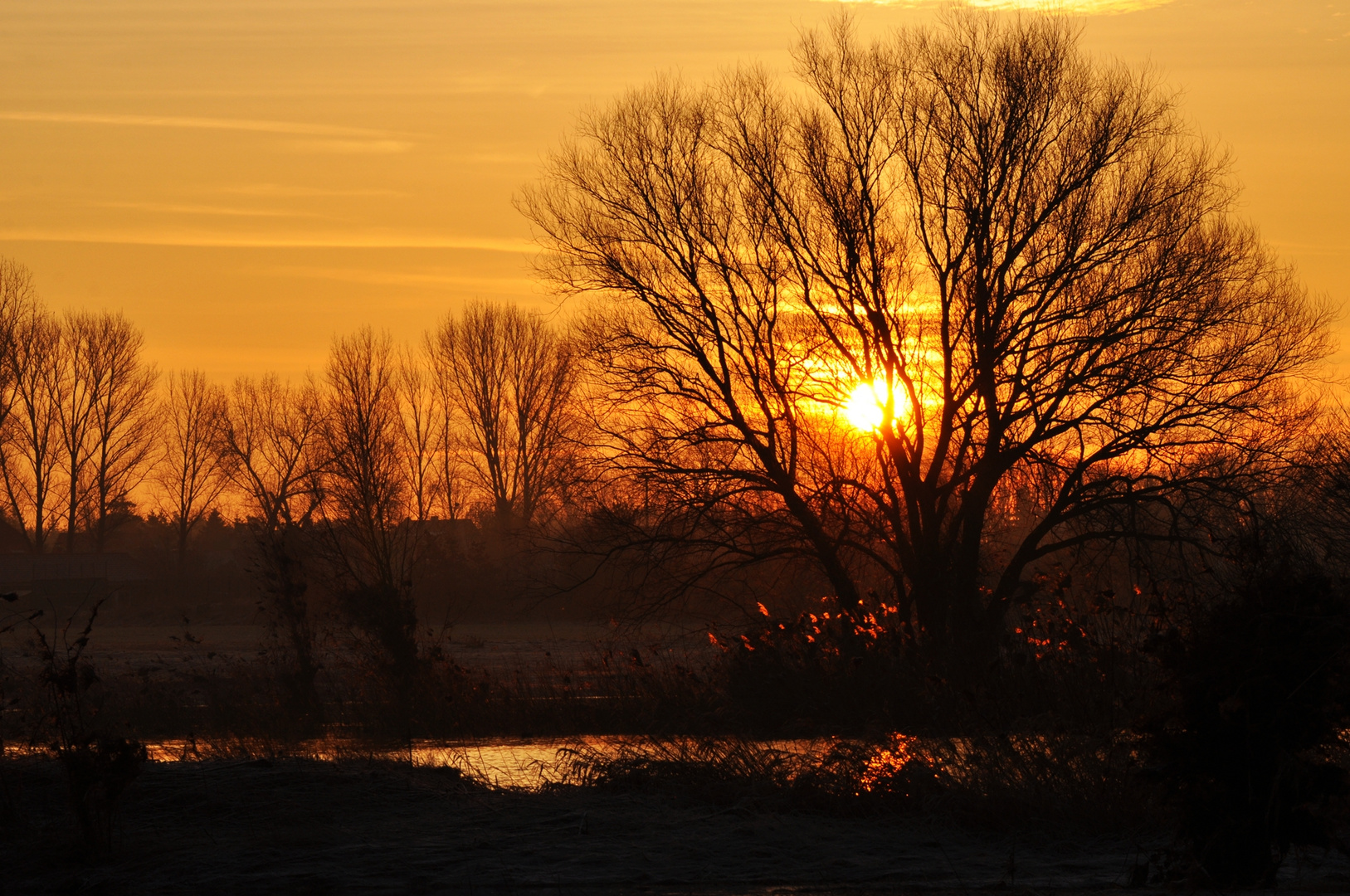 Sonnenaufgang an der Ehle