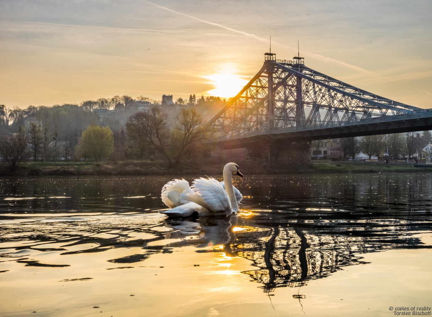 Sonnenaufgang an der Elbe 001