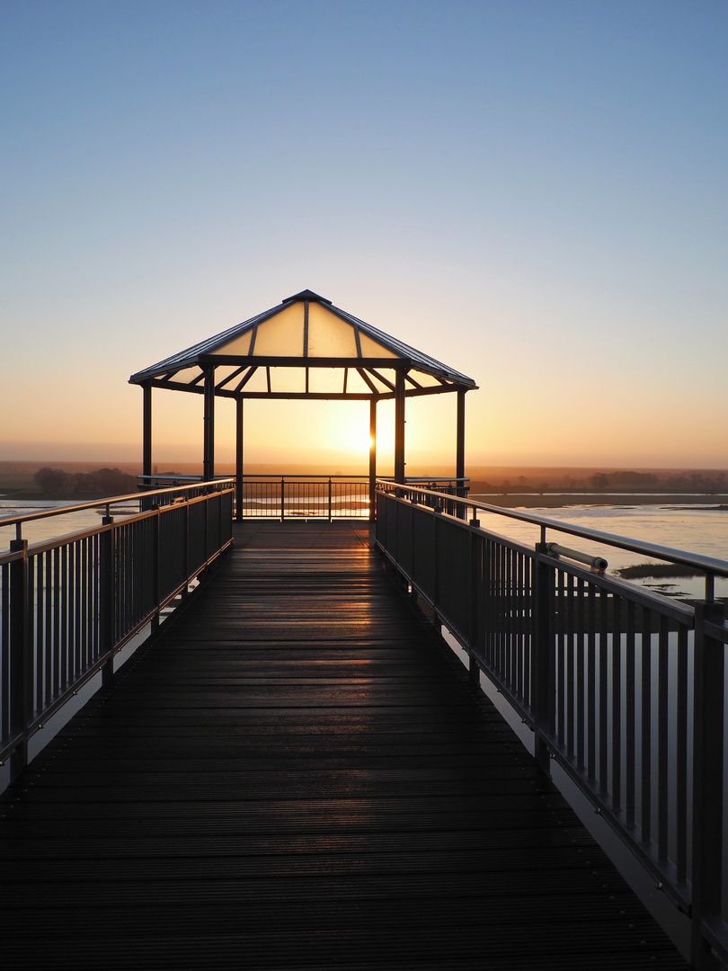 Sonnenaufgang an der Elbe