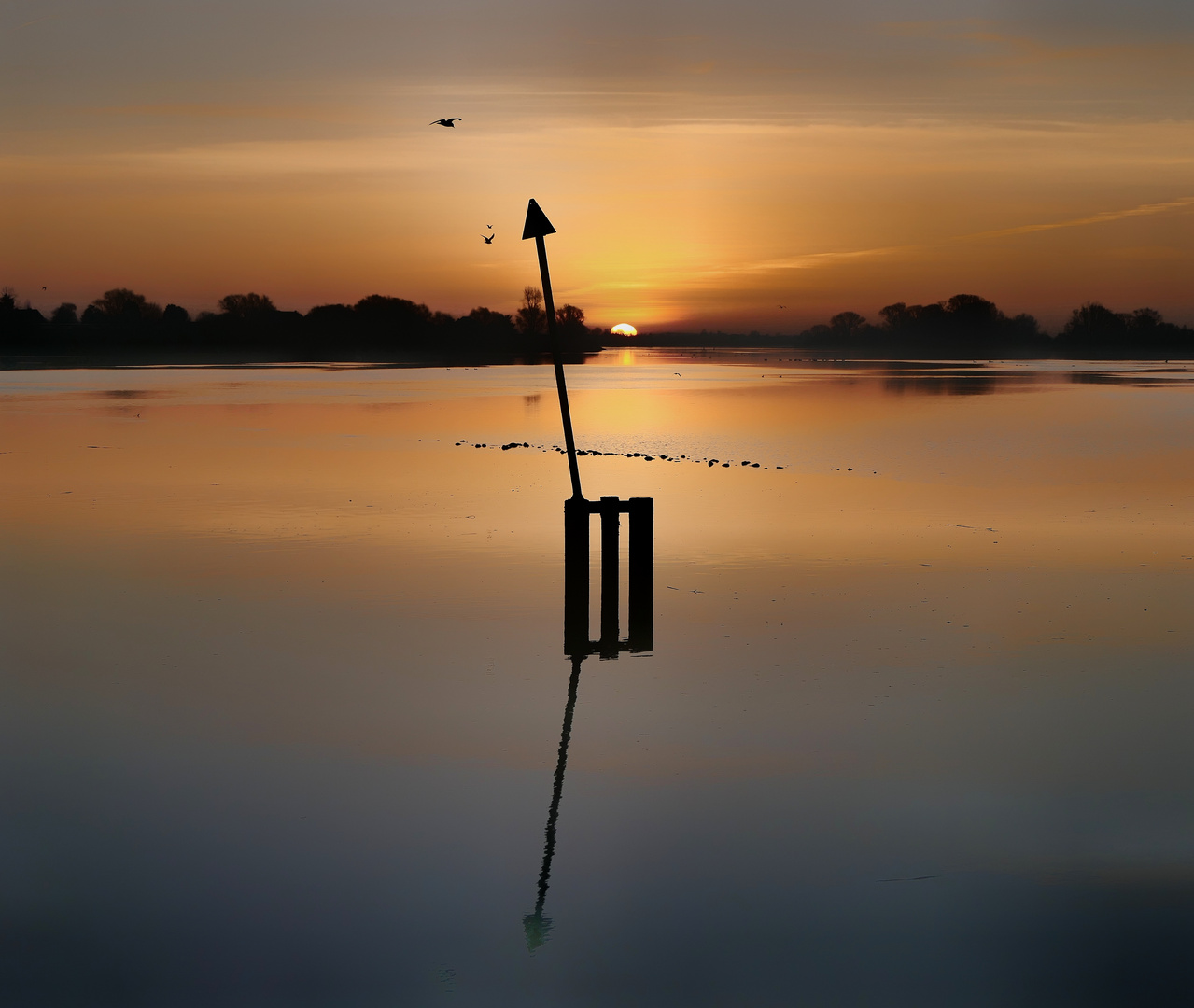 Sonnenaufgang an der Elbe