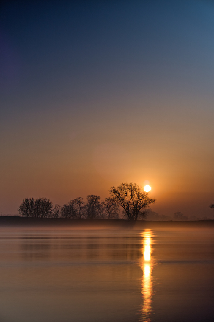 Sonnenaufgang an der Elbe