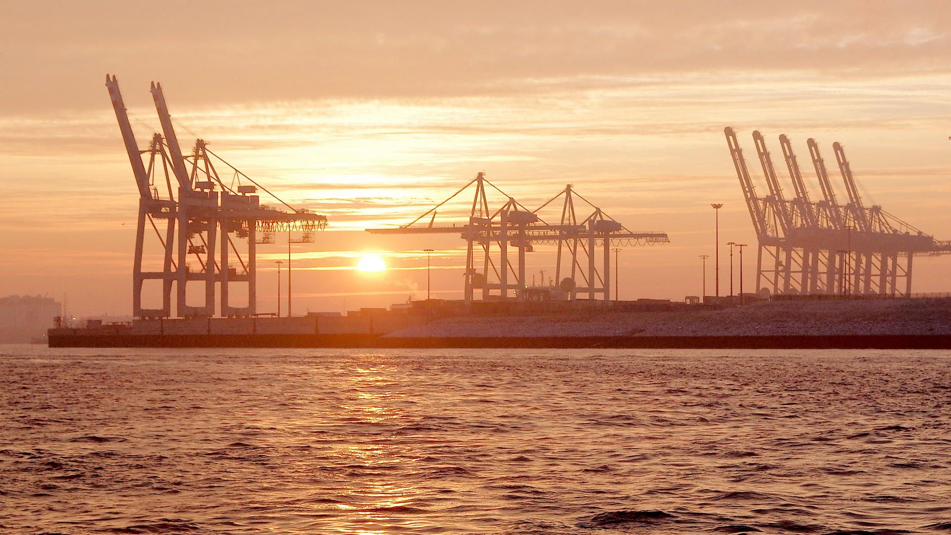 Sonnenaufgang an der Elbe