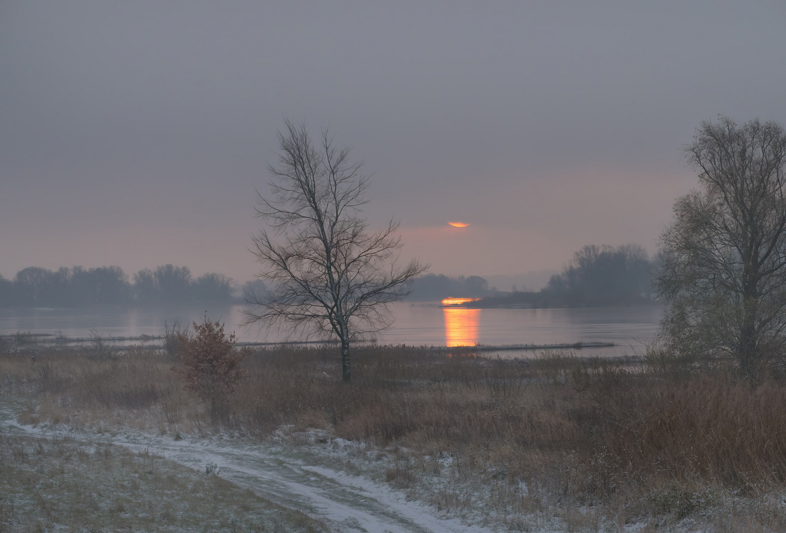 Sonnenaufgang an der Elbe 