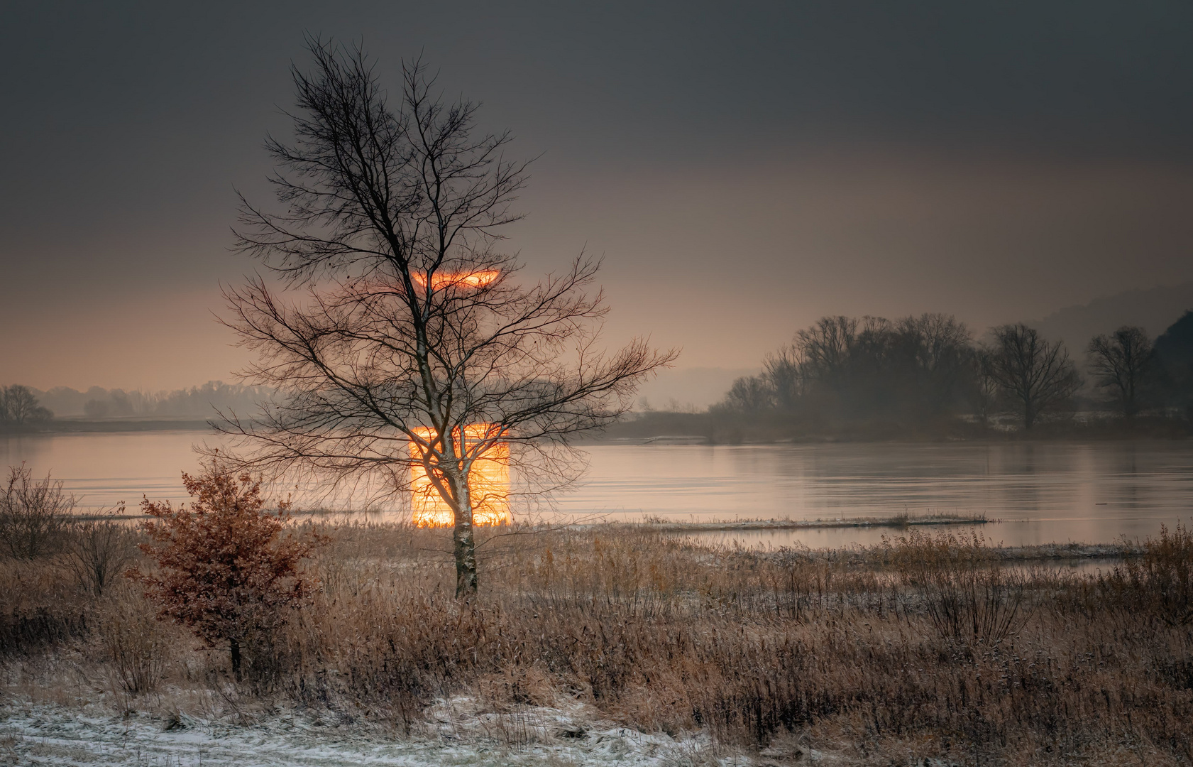 Sonnenaufgang an der Elbe 