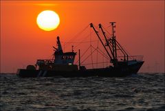 Sonnenaufgang an der Elbe (3)