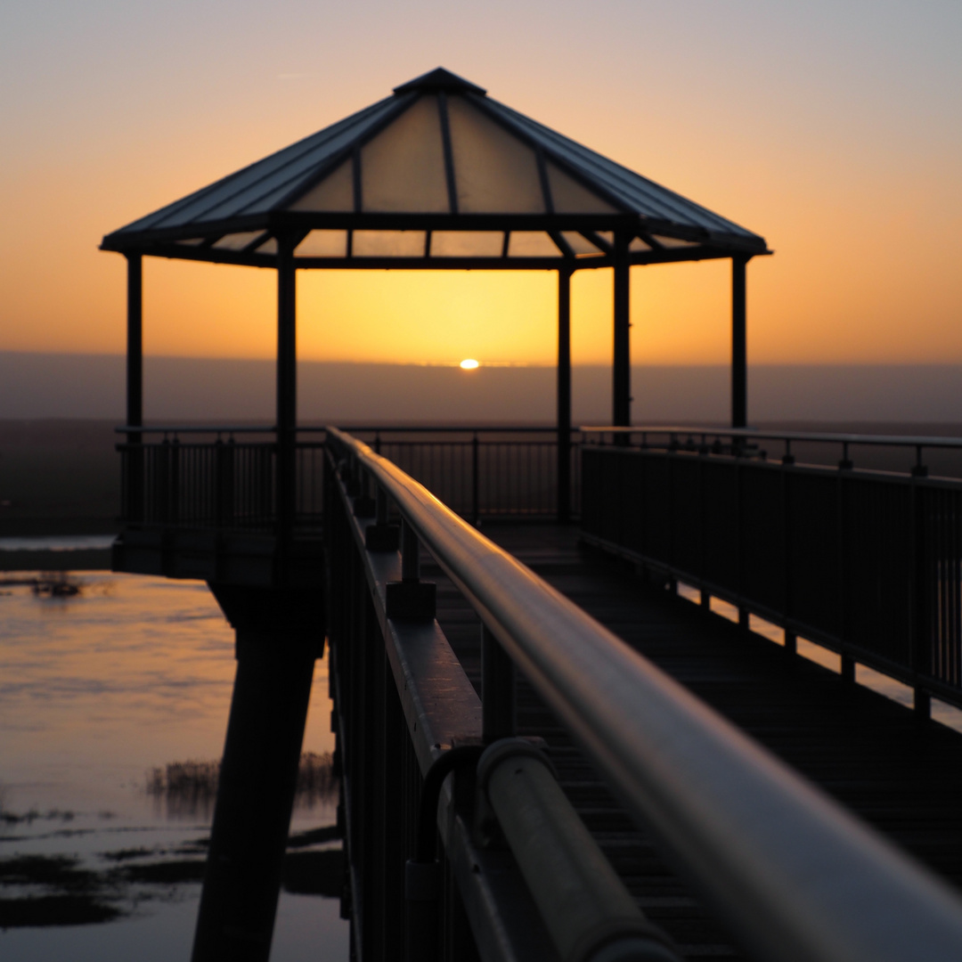 Sonnenaufgang an der Elbe