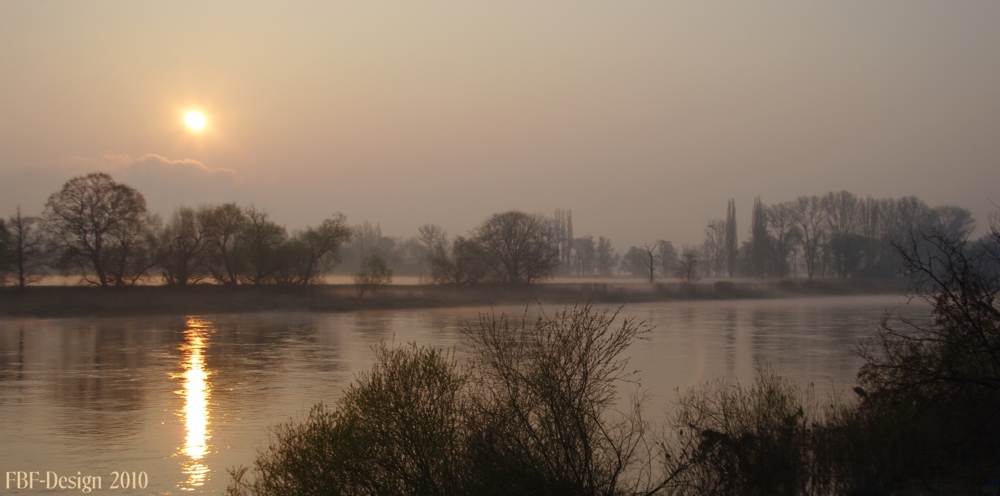 Sonnenaufgang an der Elbe