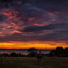 Sonnenaufgang an der Elbe