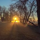 Sonnenaufgang an der Elbe