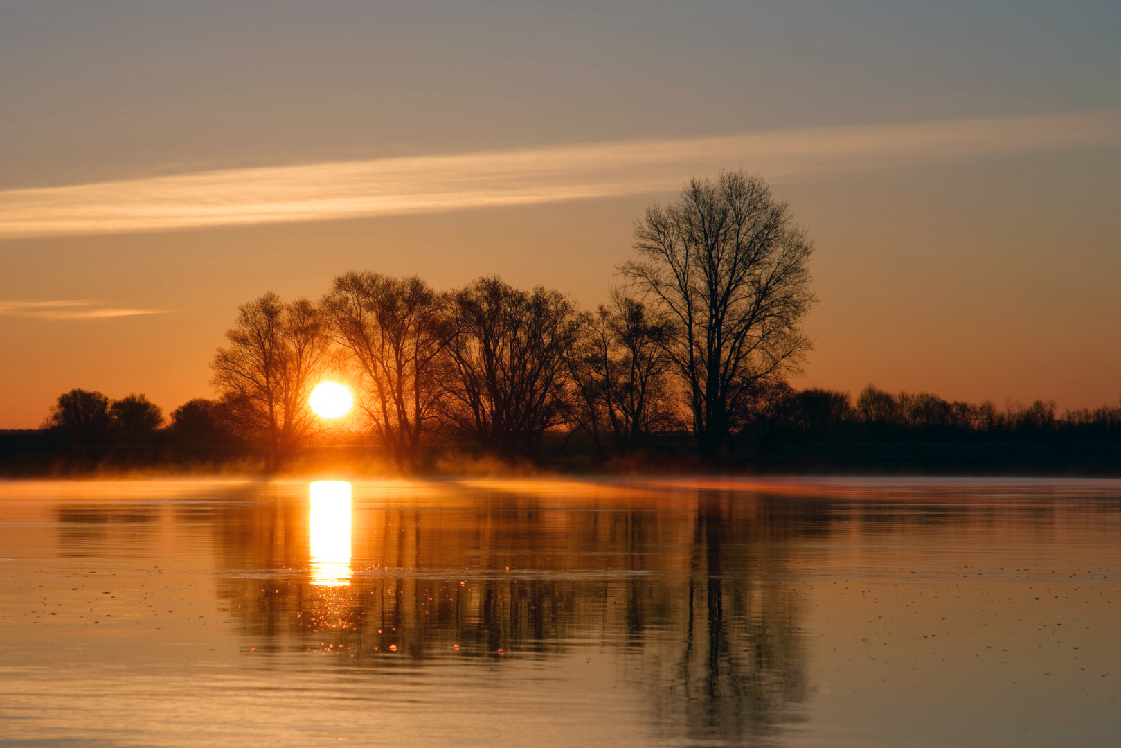 Sonnenaufgang an der Elbe