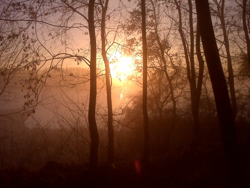 Sonnenaufgang an der Elbe