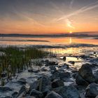 Sonnenaufgang an der Elbe