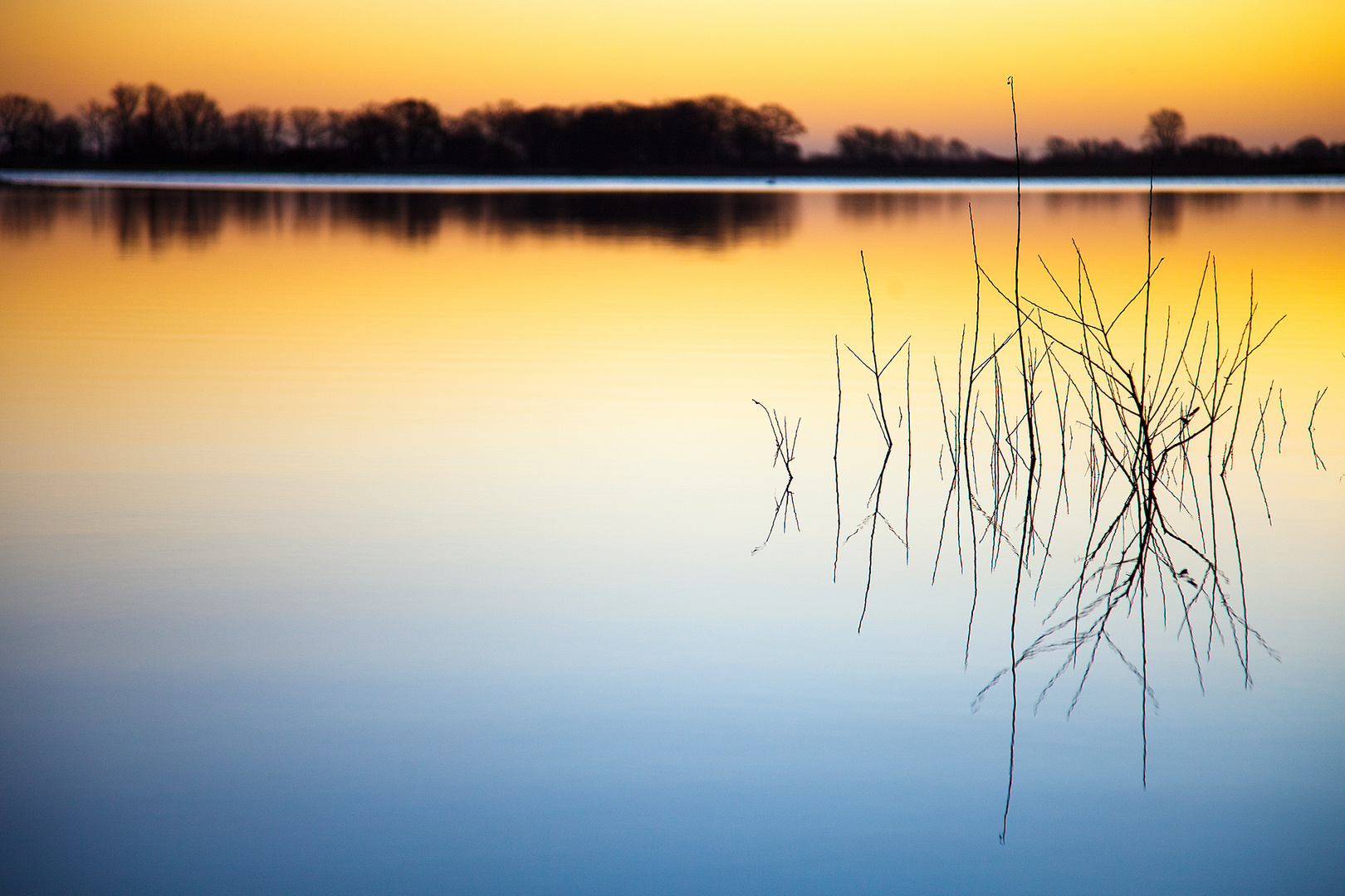 Sonnenaufgang an der Elbe