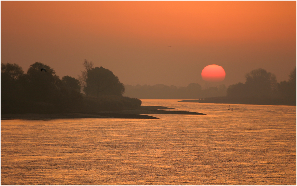 Sonnenaufgang an der Elbe