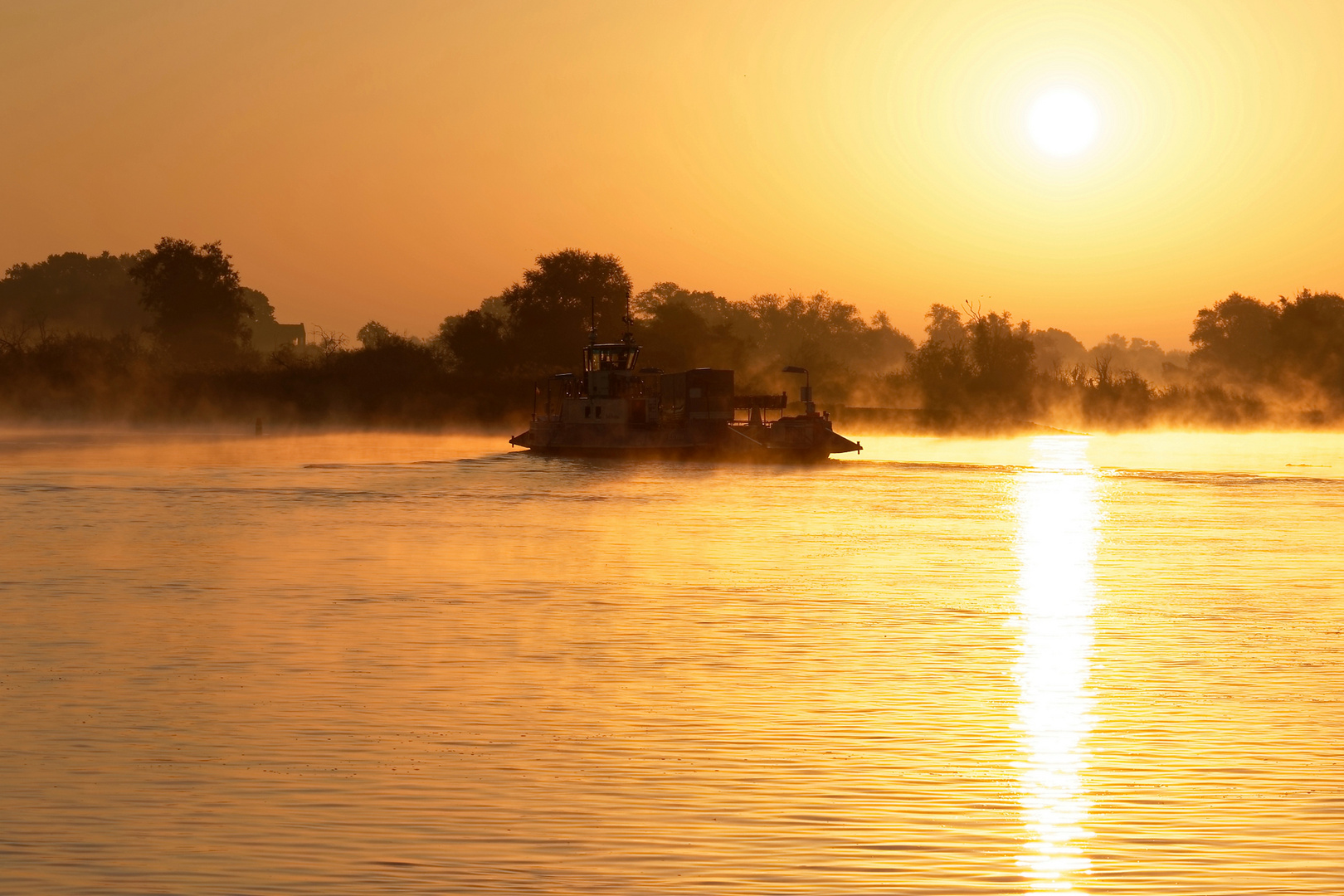 Sonnenaufgang an der Elbe. 