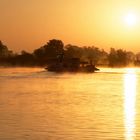 Sonnenaufgang an der Elbe. 