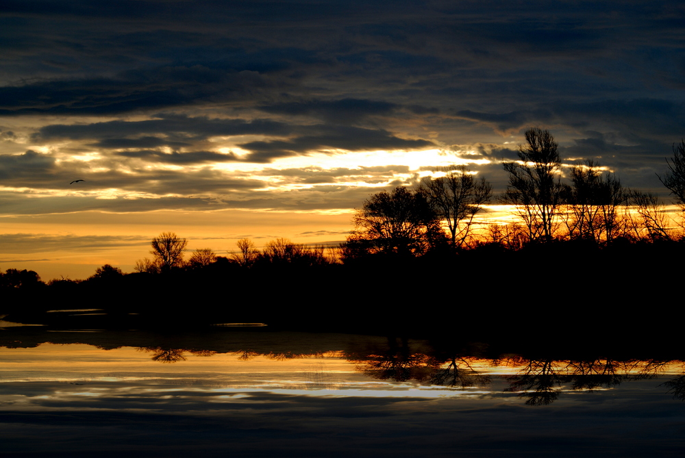 Sonnenaufgang an der Elbe