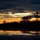 Sonnenaufgang an der Elbe