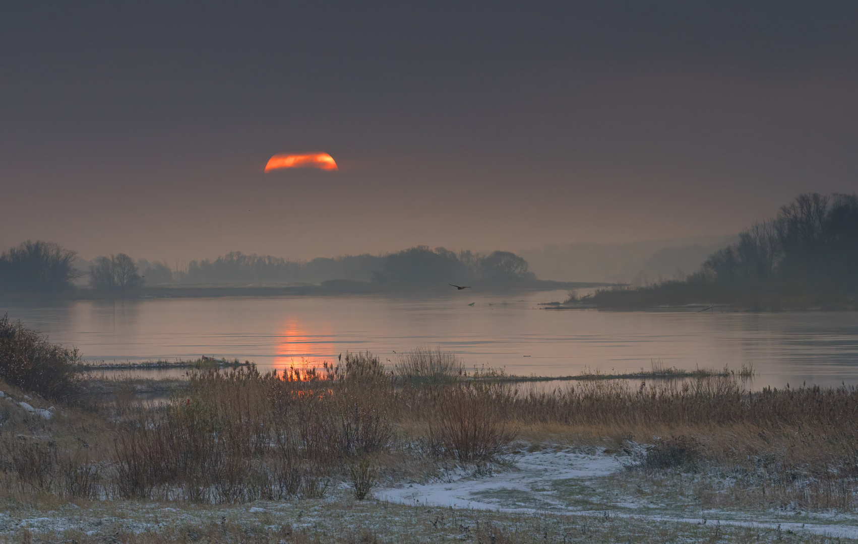 Sonnenaufgang an der Elbe 