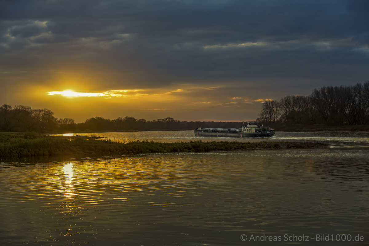 Sonnenaufgang an der Elbe