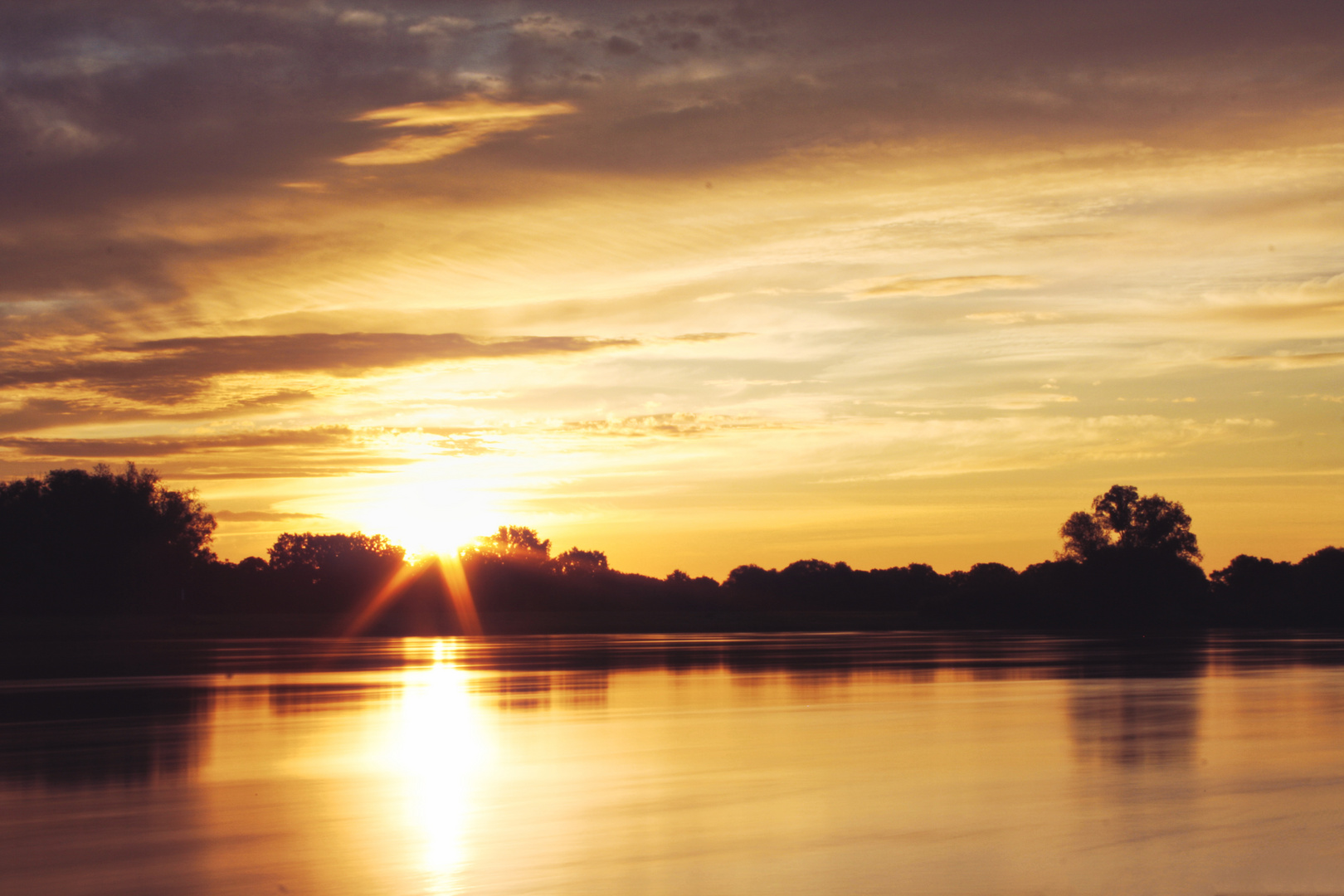 Sonnenaufgang an der Elbe