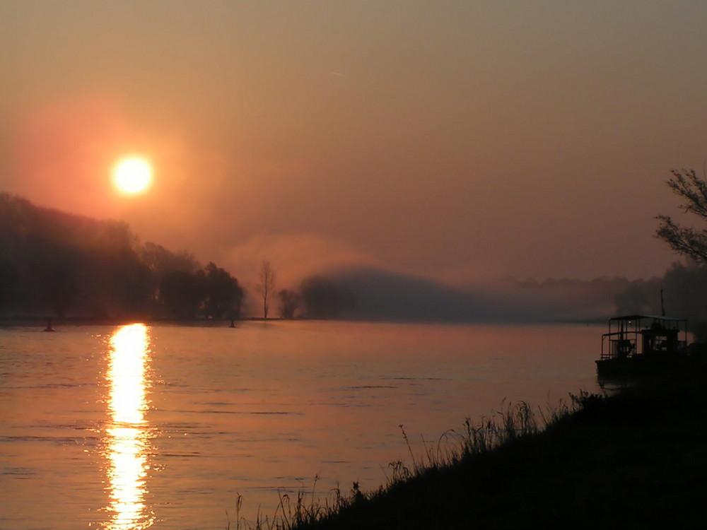 Sonnenaufgang an der Elbe mit Nebel